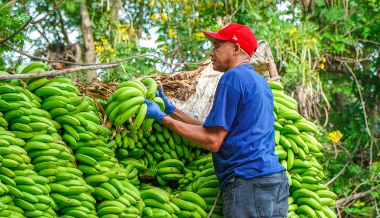 Feria de Inespre beneficia más de 800 mil usuarios